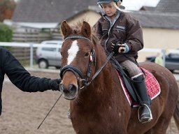 2009 Halloweenturnering